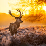 shutterstock_120562819