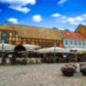 Bosphorus Strait and Black Sea Half-Day Cruise from Istanbul