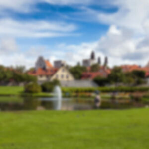 Molokini and Turtle Arches Snorkeling Trip