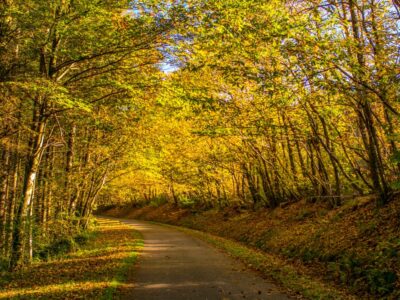 Discover Burgundy Tour -2 Days