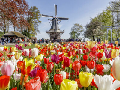 Full-day Holland Guided Keukenhof & Zaanse Schans from Brussels