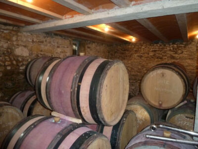 Lyon City and Vineyards Private Tour