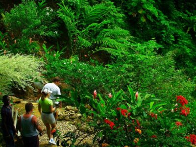 Soufriere Island Delight Excursion with Sulphur Springs + Volcano Soufriere-Island-Delight-Excursion-with-Sulphur-Springs-Volcano