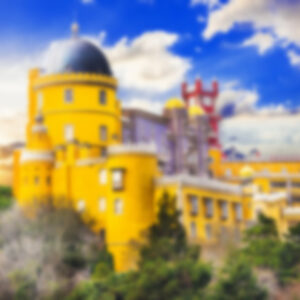 Scuba Diving Charter in  Boyton Beach