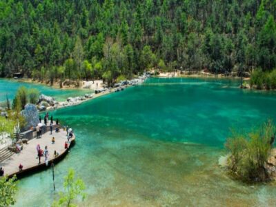 img11-2-768x392_768x560