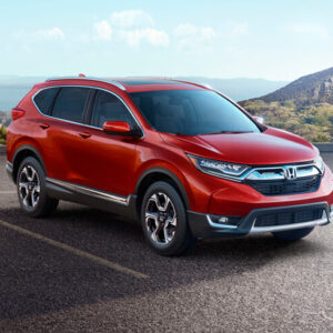 Its a Jungle Out There